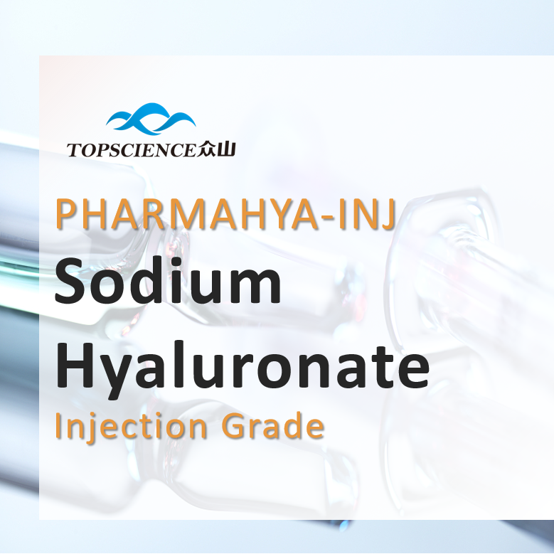 Injection Grade Sodium Hyaluronate (Hyaluronic Acid) 1