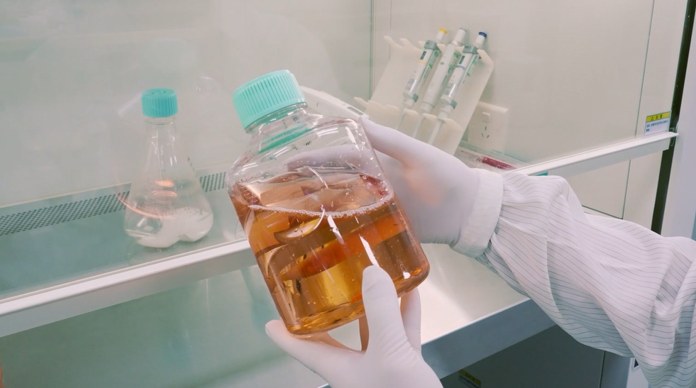 Innovative Drug Solutions for Difficult‑to‑Express and Complex Proteins