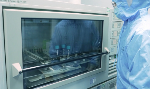 Integrated CMC Solutions for Advanced Therapies