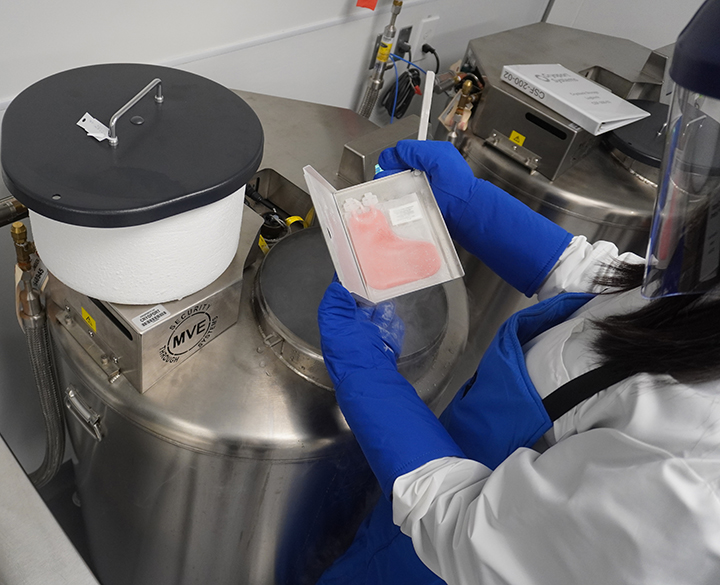 IntegriCell® Cryopreservation Services 1