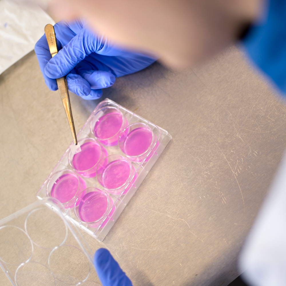 ISO 10993 Biocompatibility Testing