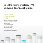 IVT Enzymes