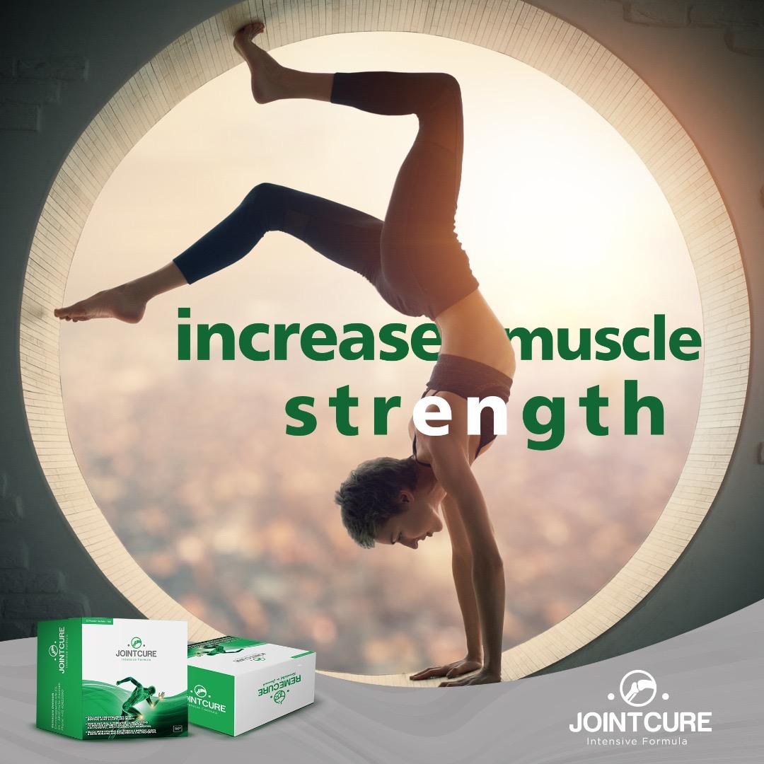 JointCure Fort 3