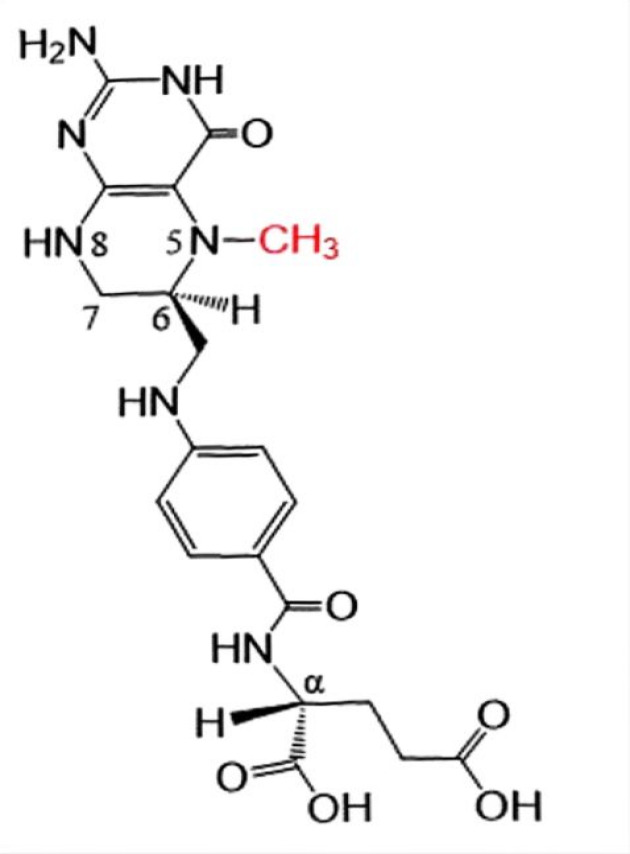 L-5-methyltetrahydrofolate