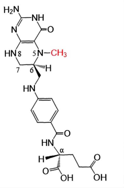 L-5-methyltetrahydrofolate
