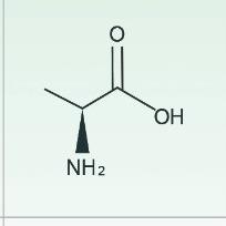 L-Alanine: 56-41-7
