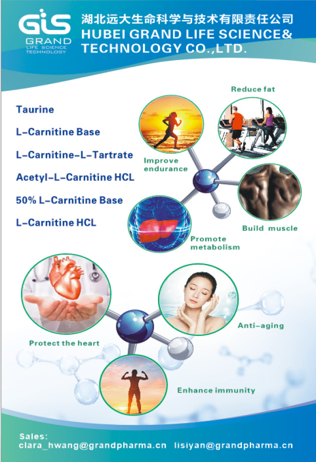 L-Carnitine base