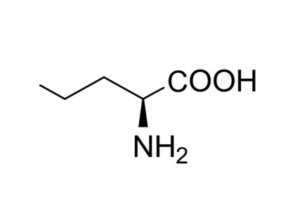 L-Norvaline