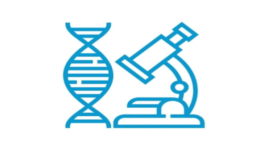 Laboratory Services: Bioanalytical, Biosimilars and Clinical Lab