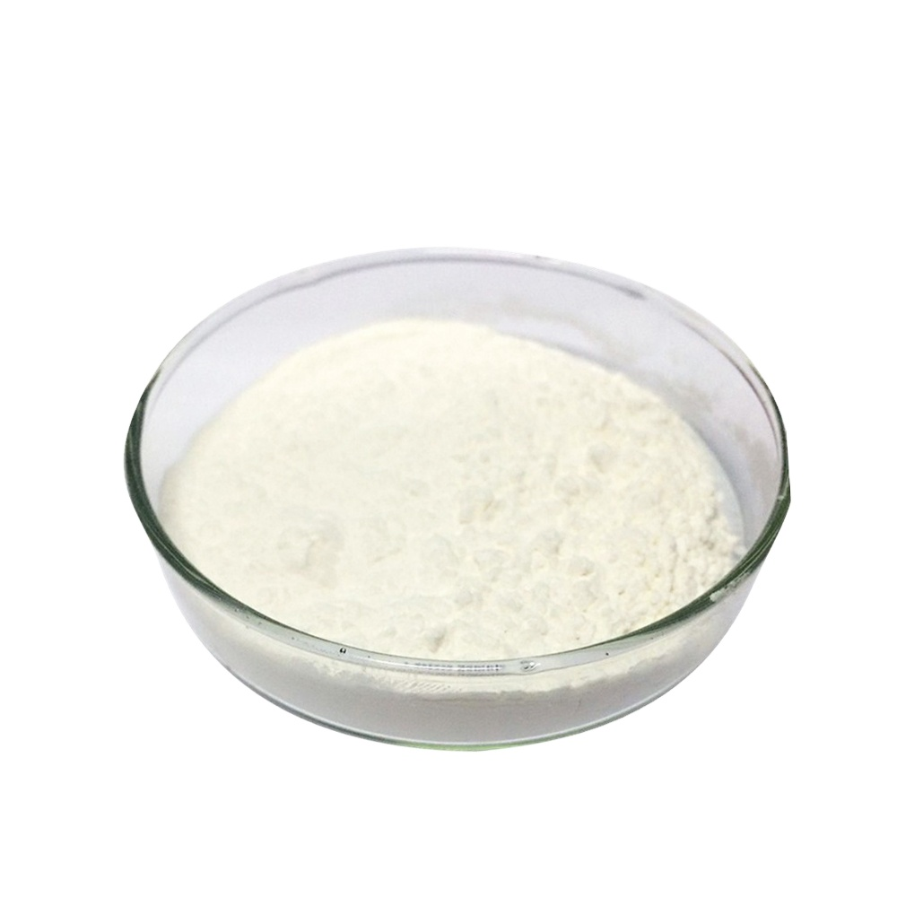 Lactase 1