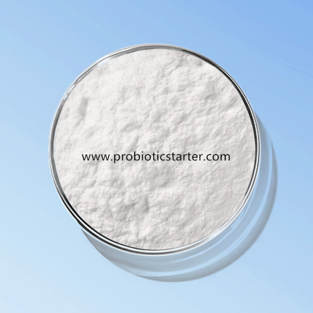 Lactobacillus Plantarum
