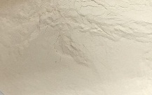 Lactobacillus reuteri