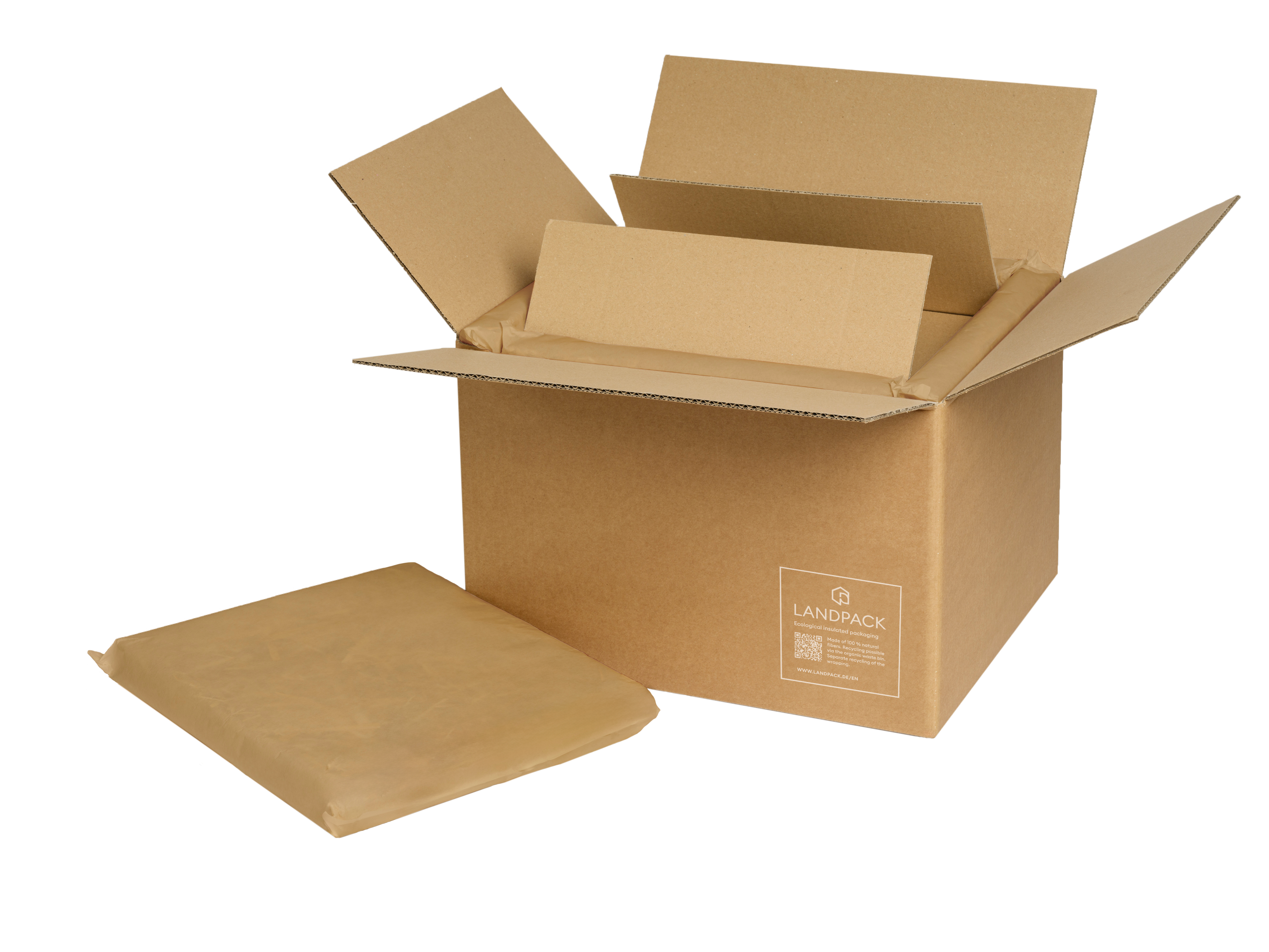 Landbox Pharma Dry Ice PRO for 120 h cold chain 1