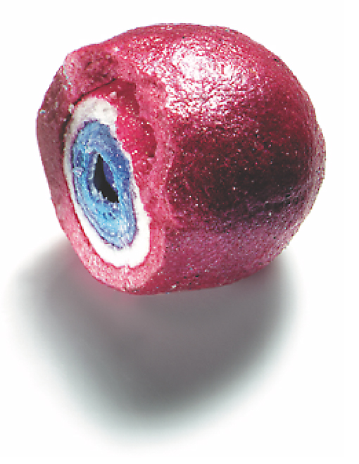Layered pellet 1