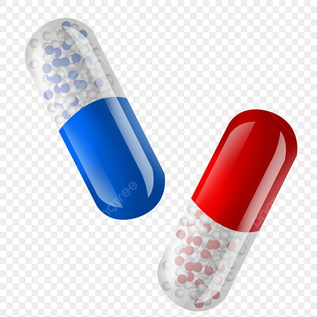 Leading Manufacturers (Tablets & Capsules)