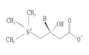 levocarnitine