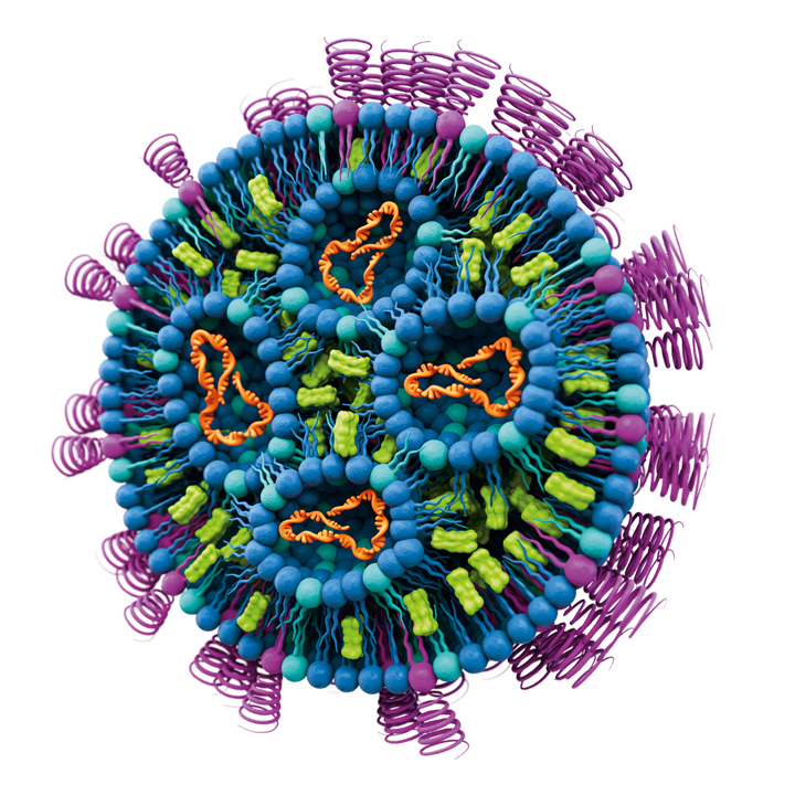 Lipid nanoparticles