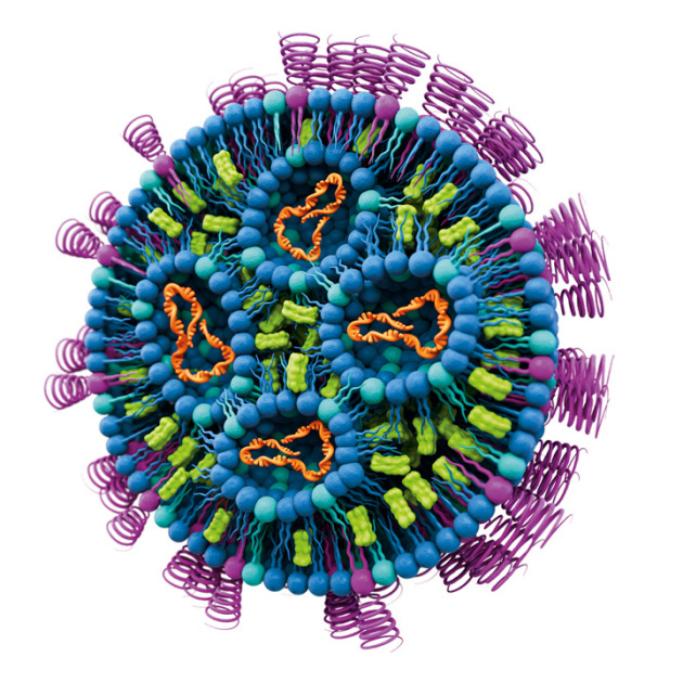Lipid nanoparticles