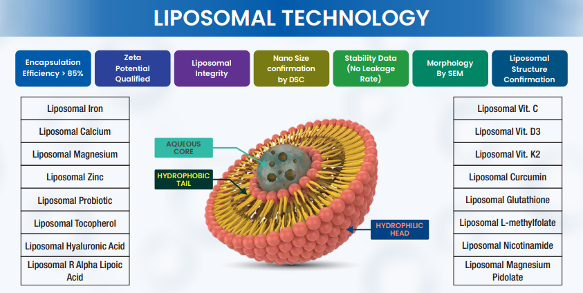 LIPOEDGE™ Liposomal Iron,  Liposomal Calcium, Liposomal Magnesium, Liposomal Zinc, Liposomal Vitamin C, Liposomal ALA, Liposomal Glutathione, Liposomal Curcumin, Liposomal Vitamin B12, Liposomal Vitamin K2, Liposomal CoQ10, Liposomal Melatonin 3