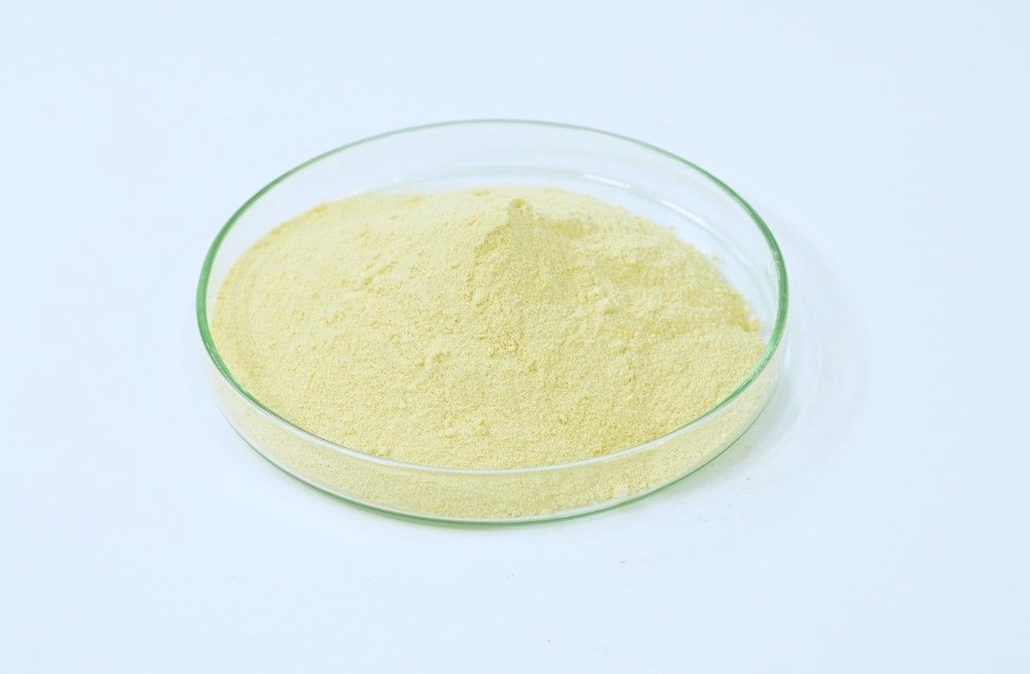 LIPOSOMAL ALPHA LIPOIC ACID | CPHI Online