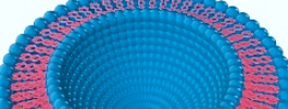 Liposomal Drug Delivery Technologies Development Support and Analysis