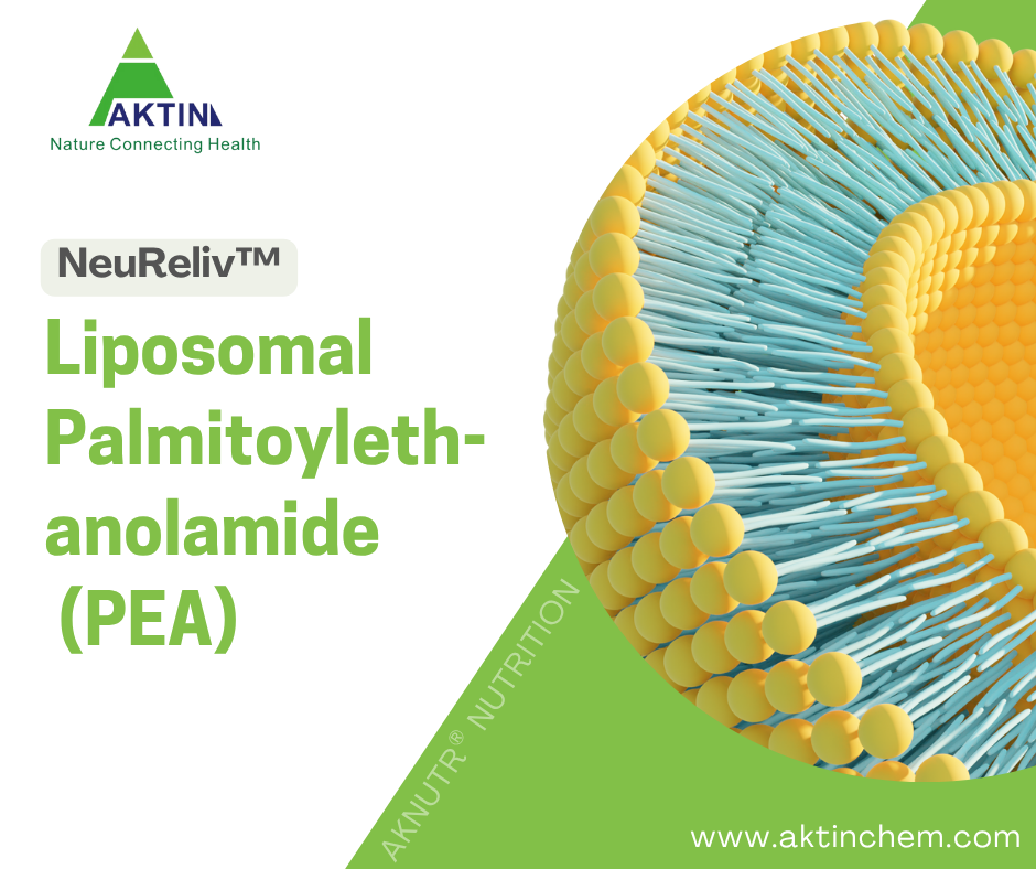 Liposomal Palmitoylethanolamide (PEA) 1