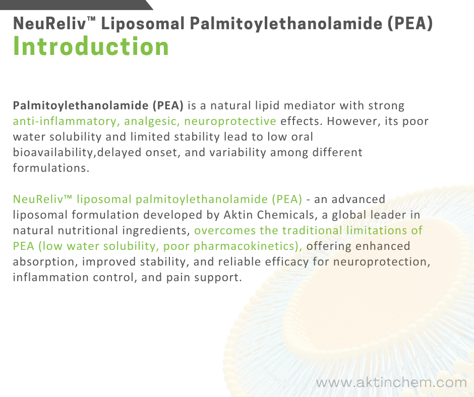 Liposomal Palmitoylethanolamide (PEA) 2