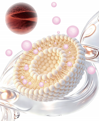 LiposoRise® Curcuminoids