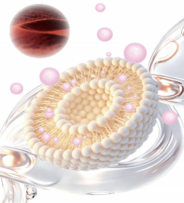 LiposoRise® Curcuminoids