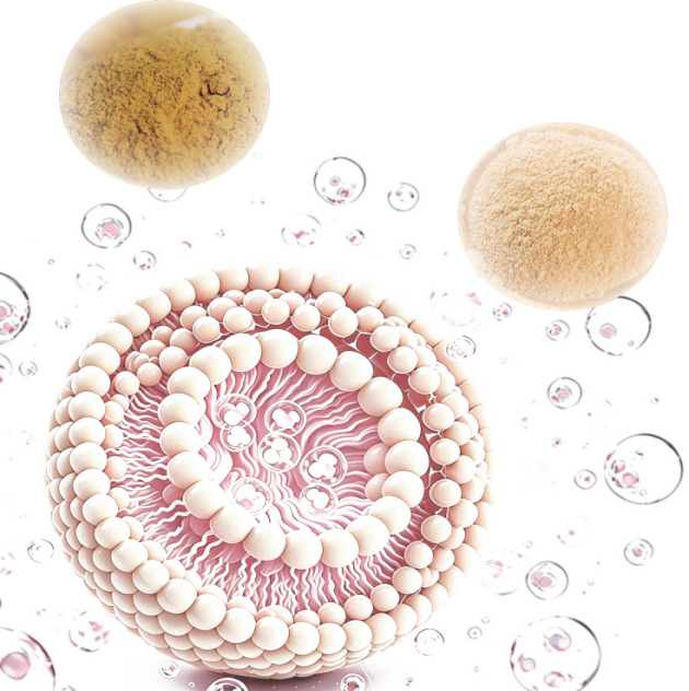 LiposoRise® Silymarin & LiposoRise® Silybin