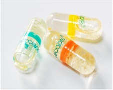 Liquid filled sealing capsule