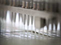 Lyophilized Freeze Drying Tablets (LyoDis / LYOC) - Oral lyophilisate
