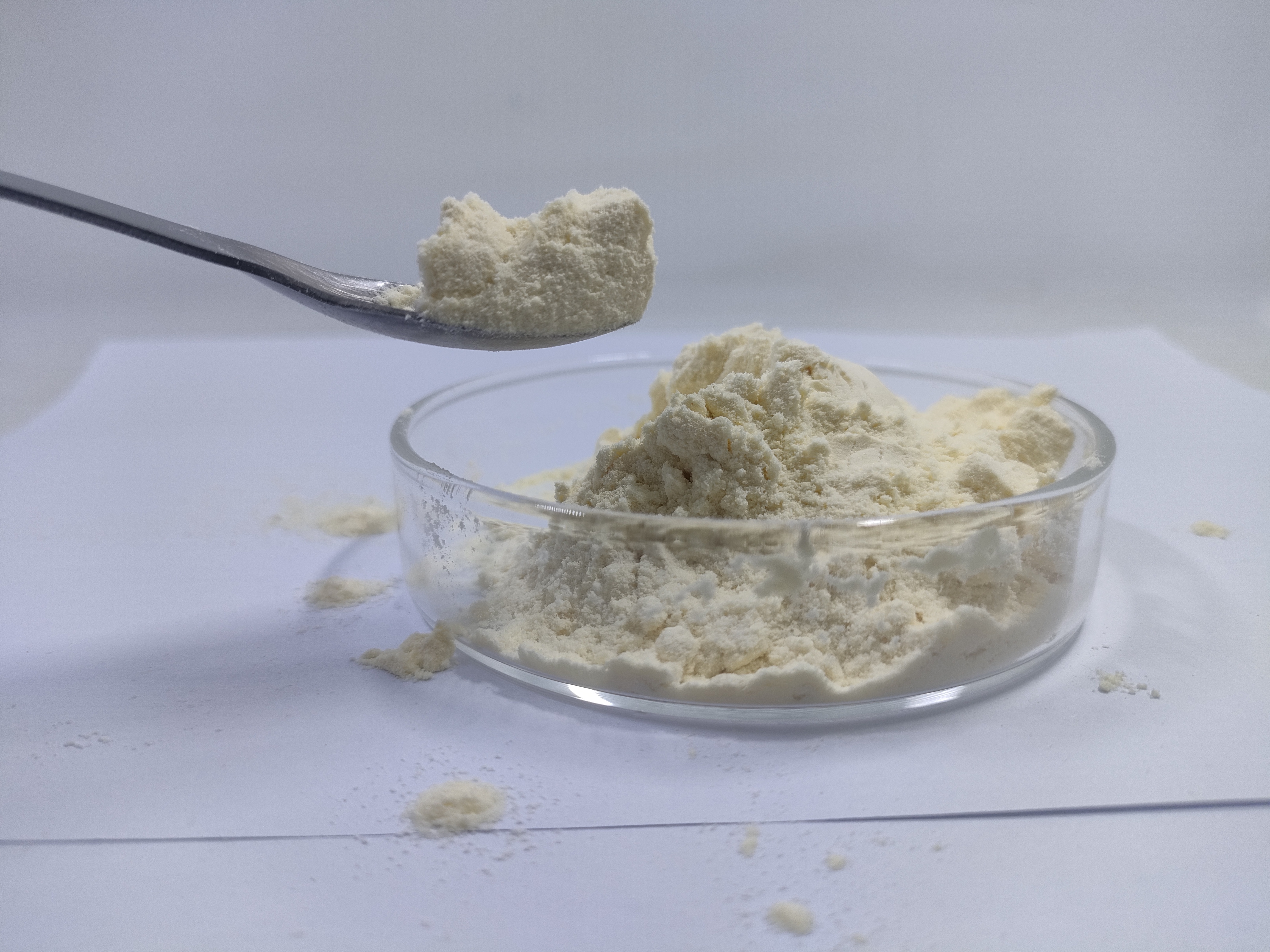 Lyophylized Royal Jelly Powder 2