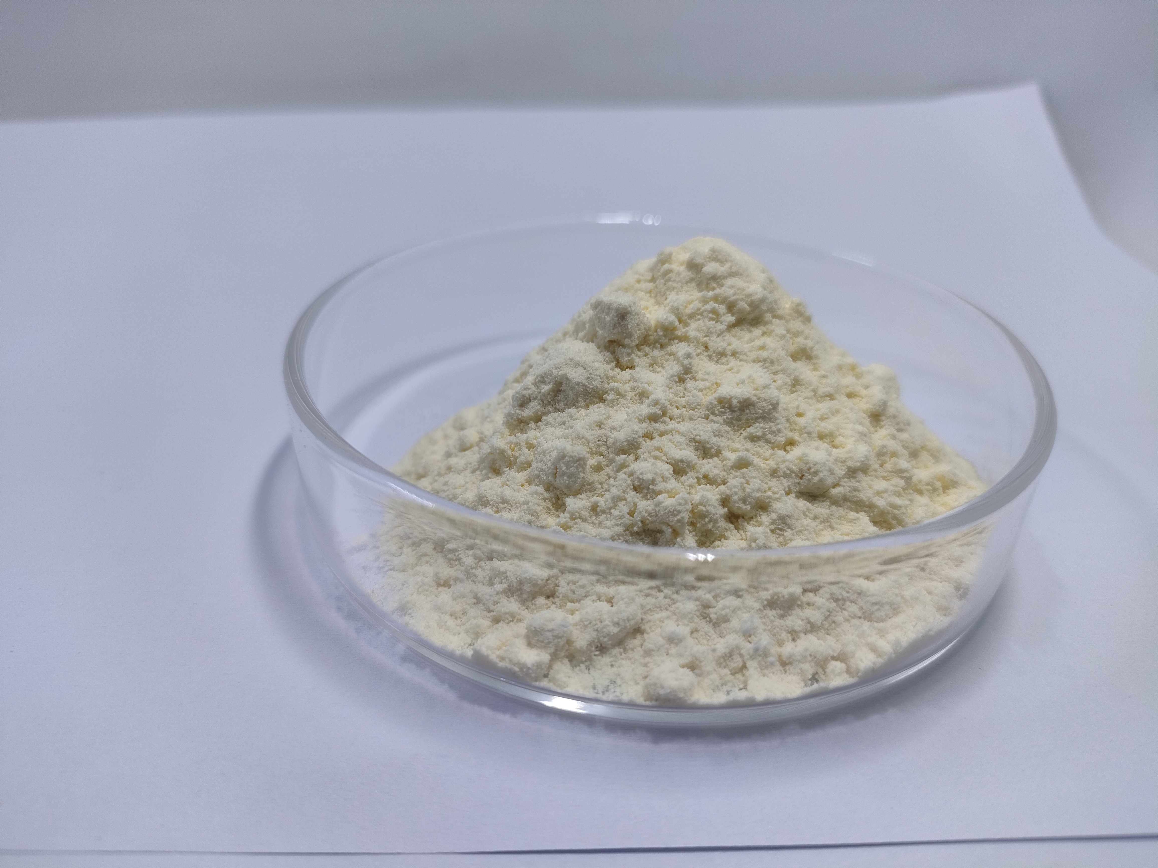 Lyophylized Royal Jelly Powder 1