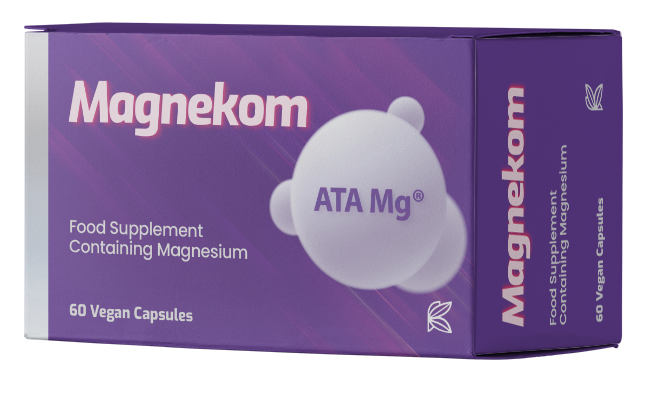 Magnekom