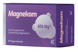Magnekom