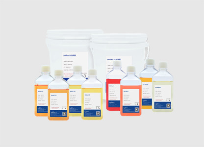 Media C & DN Feed Series CHO Serum-free Cell Culture Medium