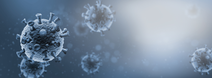 Media for Vaccine Production 2