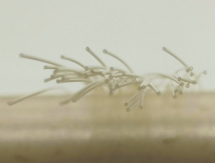 Medical PEEK Tubing 2