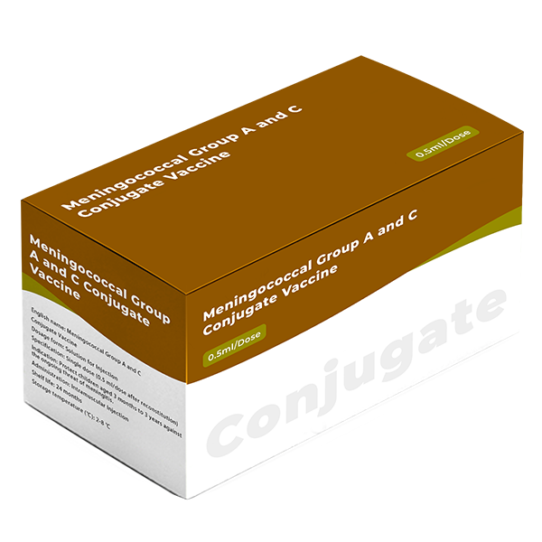 Meningococcal Group A and C Conjugate Vaccine