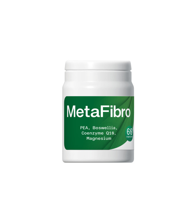 MetaFibro