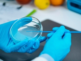 Microbial Testing
