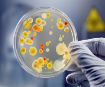 Microbiological Analysis
