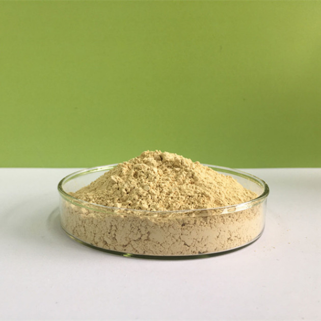 Micronized Purified Flavonoid Ffraction (MPFF)