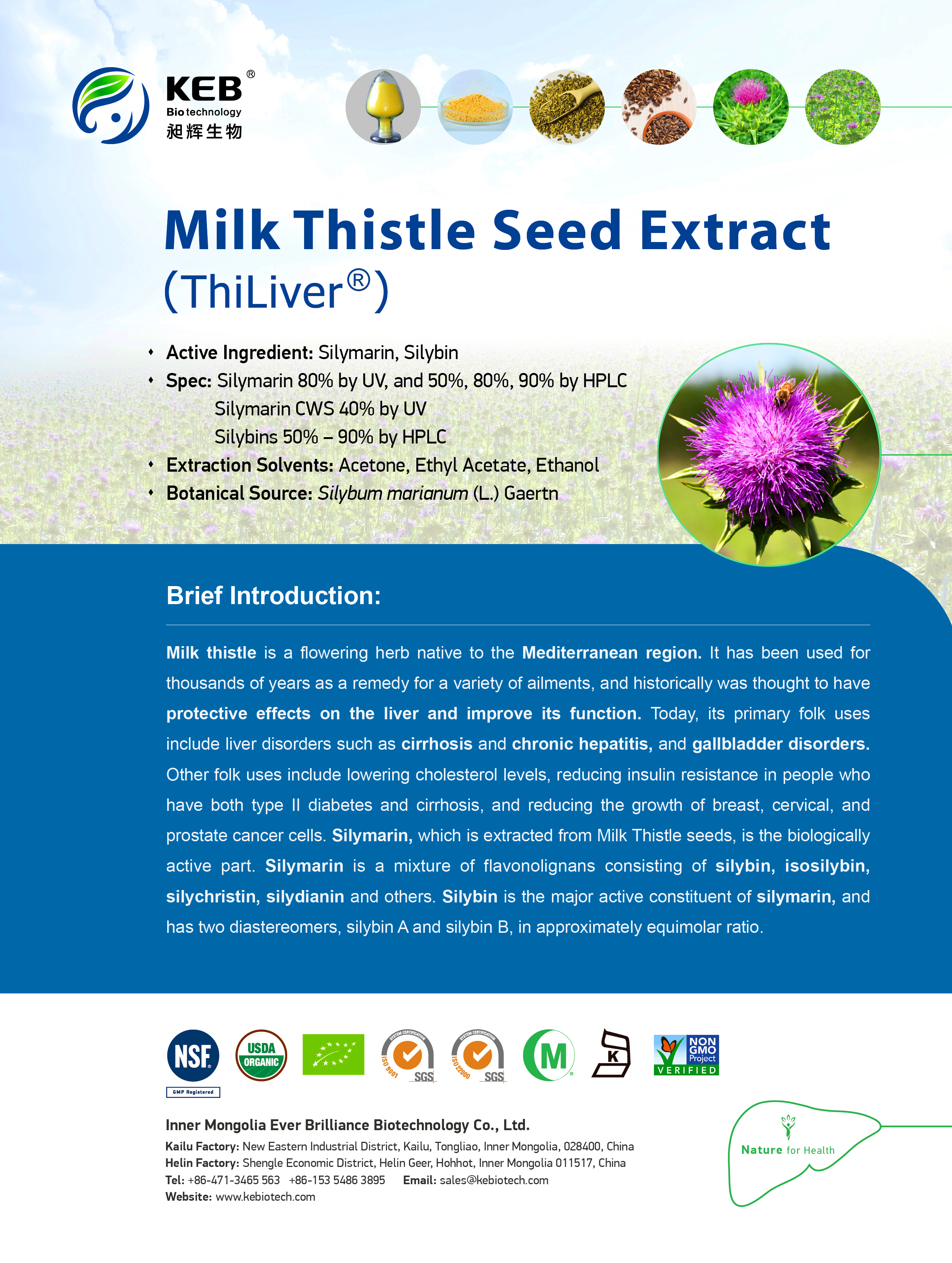 Milk Thistle Extract，LiposoRise™ Silymarin 2