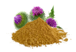 Milk Thistle Extract，LiposoRise™ Silymarin