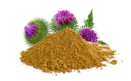 Milk Thistle Extract，LiposoRise™ Silymarin 1