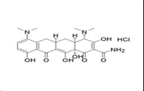 Minocycline