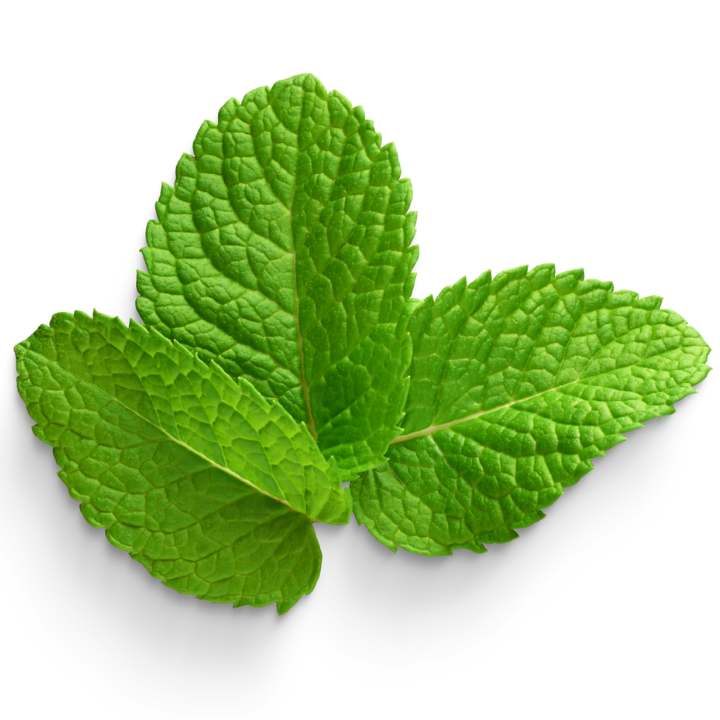 Mint Oil