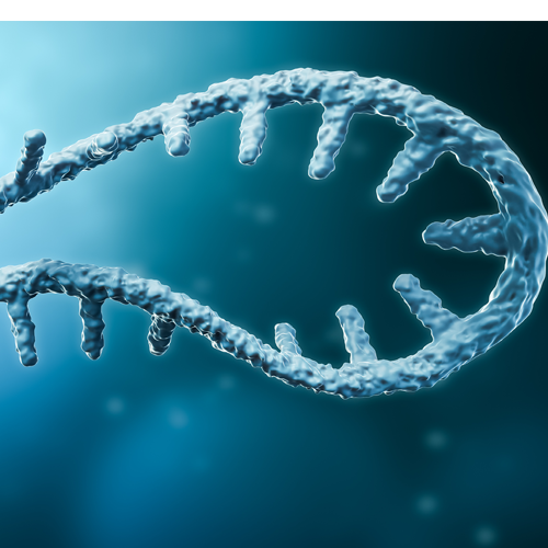 mRNA-LNP Services